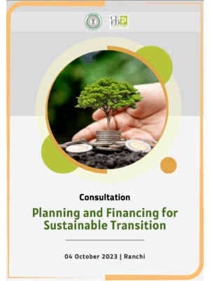 Planning and Financing for Sustainable Transition